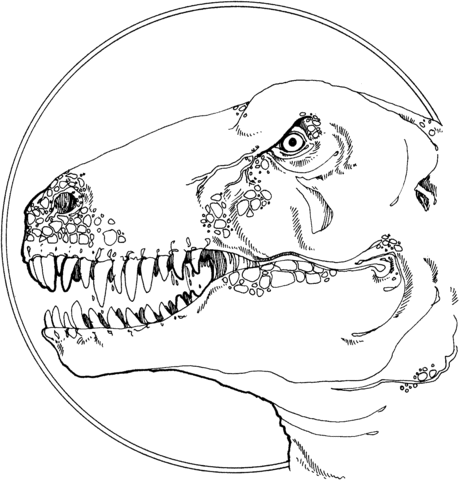 Tyrannosaurus Head Coloring Page